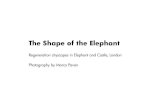 The Shape of the Elephant - WordPress.comRegeneration cityscapes in Elephant and Castle, London Photography by Marco Pavan. The Shape of the Elephant The regeneration process, which