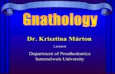 Dr. Krisztina Márton...Gnathology • Gnathological Society, California (B. B. McCollum 1939.) • „study of temporomandibular joint movements, their selective measurement, reproduction,