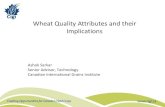 Wheat Quality Attributes and their Implications · Extensograph and Alveograph data. Wheat Quality Attributes Protein quality is often the basis of establishing wheat classification