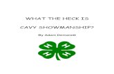 WHAT THE HECK IS CAVY SHOWMANSHIP?One way is to compete in guinea pig showmanship. Showmanship is a contest that gives you a chance to show off how well you can handle your guinea
