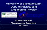 New University of Saskatchewan Dept. of Physics and Engineering …nucleus.usask.ca/presentations/Pywell_Review.pdf · 2009. 2. 18. · Possible gas proportional counter ... •Can