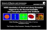 MHD simulation of cloud and clump formation triggered by …...MHD simulation of cloud and clump formation triggered by the thermal instability and consequent massive star feedback