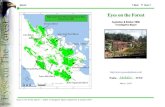 Eyes on the Forest · (Satria Baja Perkasa), PEC TECH, PT RPM (Rimba Permata Mas)] as a Contractors PT National Timber & Forest Product (19 units Excavators + 6 units Pompong + 4