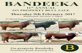BANDEEKA - Simmental€¦ · With the beef industry achieving great returns for beef cattle producers it is an opportune time for cattle producers to cash in on the attributes that
