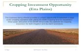 Cropping Investment Opportunity (Etta Plains) plains.pdf · ( Vertosols) the generally exhibit self mulching surface soils, uniform light-medium to medium clays texture through the