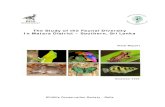 The Study of the Faunal Diversity In Matara District ... · The Study of the Faunal Diversity In Matara District – Southern, Sri Lanka December 2009 Wildlife Conservation society