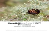 Sandhills of the NSW Riverina - Australian Network for ...€¦ · Root suckering from butter bush (Pittosporum) following ripping. (photo: Graham Fifield, Greening Australia) SANDHILLS