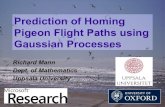 Prediction of Homing Pigeon Flight Paths using Gaussian ...rmann/presentations/pigeon.pdf · Previously unseen behaviour Standard model: Map and Compass Evidence for pilotage in familiar