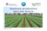 Soybean production into the future - Charles Sturt University...• Milk yield • Tofu gelling Current traits • Leaf rust resistance • 11sA4 nulls • Broader adaption to latitude