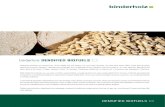 New binderholz DENSIFIED BIOFUELS · 2019. 6. 5. · binderholz biofuels are synonymous with top quality and top service. For more than 20 years, we have been using 100% of the best
