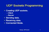 New UDP Sockets Programming - MYcsvtu Notesmycsvtunotes.weebly.com/uploads/1/0/1/7/10174835/network... · 2018. 9. 6. · Netprog: UDP Sockets 16 Connected mode • A UDP socket can