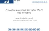 Precision Livestock Farming (PLF) into Practice€¦ · Precision feeding for dairy cows and pigs 3 phases Multi phases MP + individual Live weight gain (g/d) 1105 1105 1100 N balance