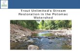 Trout Unlimited’s Stream Restoration in the Potomac WatershedLost River Watershed Focus Counties . Trout Unlimited's Piedmo Targeted Watersheds G den Burli oorefi Pe ersburg iley