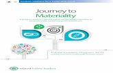 Journey to Materiality - World Business Council for ...docs.wbcsd.org/2014/12/Journey_to_materiality.pdf · JOURNEY TO MATERIALITY 2. Six roadblocks to materiality To identify the