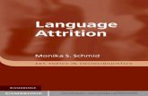 Language Attrition - WordPress.com · 2006. 7. 7.  · Language Attrition ‘Language attrition’ describes the loss of, or changes to, grammatical and other features of a language