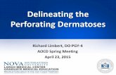 Delineating the Perforating Dermatoses · collagenosis. J Am Acad Dermatol 2009; 60:463-469. • Akoglu G, Emre S, Sungu N, Kurtoglu G, Metin A: Clinicopathological features of 25