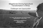 Megatrends Driving Agricultural Transformation in Africa ... Megatrends Driving Agricultural Transformation
