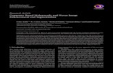 Research Article Computer Based Melanocytic and Nevus ...downloads.hindawi.com/journals/bmri/2016/2082589.pdfsegmentation technique based on double thresholding for segmentation. Edge-based