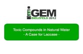 Toxic Compounds in Natural Water - A Case for Laccase2012.igem.org/files/presentation/Bielefeld-Germany.pdf · Degradation of ethinyl estradiol using ABTS as mediator, after 10 minutes