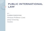 PUBLIC INTERNATIONAL LAW - Jiwaji University - Public International...Public International Law. It states the sources of law such as customs, conventions, treaties, general principles
