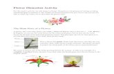 Flower Dissection Activity Small€¦ · complete or perfect flower, because it has both male and female parts, just like the flower in the diagram below. Petals Stem Leaf . The male