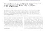 Interaction of recombinant Tetrahymena telomerase proteins ...genesdev.cshlp.org/content/12/5/721.full.pdf · Tetrahymena p80 can be cross-linked to Tet-rahymena telomerase RNA (Collins