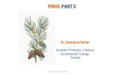 Pinus: Part II - Surendranath College€¦ · 18/04/2020  · Megasporophyll The ovuliferous scale is thick, large, woody & brownish structure ... Schematic representation in the