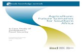Agriculture: Future Scenarios for Southern Africa · 4.3.3 Agricultural development and trade policies 10 4.3.4 Trade rules and trade-related policy issues 10 4.3.5 Investing in agricultural