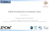 A Brief Introduction to Computer VisionA Brief Introduction to Computer Vision Adrien Bartoli et al Endoscopy and Computer Vision group (EnCoV) Institut Pascal –UMR6602, CNRS, Université