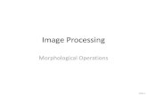 Image Processing - TU Dresdends24/lehre/bvme_ss_2013/ip_04_morph.pdf · Image Processing: Morphological Operations Fast minimum 6 The task in 1D: A naïve algorithm (according to