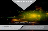 PRISMA - WILD · PRISMA The WILD Group magazine Issue no. 2 • 2018 ... process derogations, visual measurement technology will ... vidual basis. In many sectors, they are rewriting