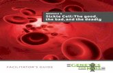 module 6 Sickle Cell:The good, the bad,and the deadly · 2011. 7. 13. · Genetics for Kids: Module 6 Sickle Cell: The good, the bad, and the deadly 2 Background Sickle cell anemia