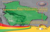 New Plurinational State of Bolivia Agriculture Public Expenditure … · 2016. 7. 16. · The National Development Plan 2006-2010 ... The Government Plan for Economic and Social Development
