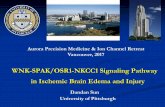 WNK-SPAK/OSR1-NKCC1 Signaling Pathway in Ischemic Brain ...€¦ · VA BLR&D NIH ICTR KL2 -540154) Taiwan National Defense Medical Center Sung-Sen Yang, PhD Shih-Hua Lin, PhD UC-San
