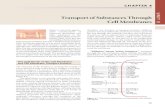 Transport of Substances Through Unit Cell Membranes€¦ · Transport through the cell membrane, either directly through the lipid bilayer or through the proteins, ... By contrast,