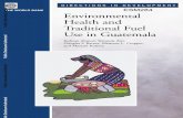 Environmental Health and Traditional Fuel Use in Guatemala ...€¦ · 3A.1 Biomass Fuel Use and ALRI in Children under AgeFiveinDeveloping Countries 42 4.1 Stages in the Development