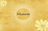 Alkaloids · 2017. 11. 29. · Plan 1. Definition term ” alkaloid”. 2. Nomenclature 3. Distribution in plant kingdom 4. Accumulation of alkaloids and their functions in plants