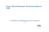 CA Workload Automation SE Workload...CA Technologies Product References This document references the following CA products: CA Workload Automation SE, formerly CA 7® Workload Automation