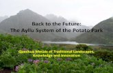 Back to the Future: The Ayllu System of the Potato Park · 2019. 7. 23. · 4400 especies de plantas nativas de usos conocidos, destacando las de propiedades alimenticias (782), medicinales