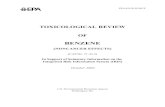 Toxicological Review of Benzene, non-cancer effects (CAS No. 71 …cfpub.epa.gov/ncea/iris/iris_documents/documents/tox... · 2014. 3. 24. · EPA/635/R-02/001F TOXICOLOGICAL REVIEW