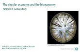 The circular economy and the bioeconomy€¦ · Energy flows Energy efficiency, share of renewables Material flows Reduced material demand Biological vs technical materials Bioeconomy