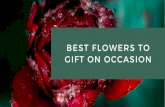 best flowers to gift on occasions