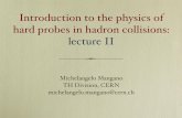 Introduction to the physics of hard probes in hadron ......Michelangelo Mangano TH Division, CERN michelangelo.mangano@cern.ch Introduction to the physics of hard probes in hadron