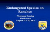 Endangered Species on Ranches 2012 proc.pdf · Ranches Nebraska Grazing Conference ... Species in grazing country . Whooping crane . Piping plover Interior least tern . Topeka shiner