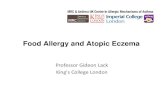 Food Allergy and Atopic Eczema slides.pdf · Atopic Dermatitis Food allergy Atopic dermatitis Atopic dermatitis Food allergy Atopic dermatitis Food allergy. Prevalence of AD in FA