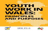 YOUTH WORK IN WALES - CWVYS€¦ · its nature, purposes and delivery. The content of the document applies speciﬁcally to youth work in Wales but is likely to be consistent with