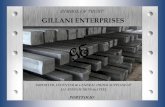 GE - Gillani Enterprises · GE GILLANI ENTERPRISES SOLE REPRESENTATIVE OF Since ITS beginnings in 1996, this enterprise has always been guided by the desire to offer a distinct service,