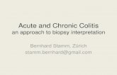 Acute and Chronic Colitis - pathpathology.ro and chronic colitis - Stamm.pdf · Acute and Chronic Colitis an approach to biopsy interpretation Bernhard Stamm, Zürich ... •„Mild
