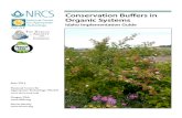 Conservation Buffers in Organic Systems - SARE...Conservation Buffers in Organic Systems Idaho Implementation Guide June 2014 National Center for Appropriate Technology (NCAT) Oregon