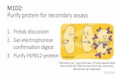 M1D2: Purify protein for secondary assaysmeasurebiology.org/w/images/1/10/Sp19_M1D2_nll_marked.pdf · M1D2: Purify protein for secondary assays 02/13/19 “Don’t pick it up,”
